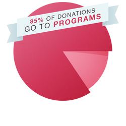 Spending-programs-pie-chart